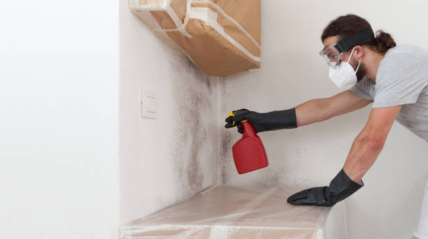 Professional Basement Mold Remediation technician working in Oxford, GA