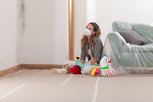 Reliable Basement Mold Remediation contractor in Oxford, GA by WQB Mold Removal